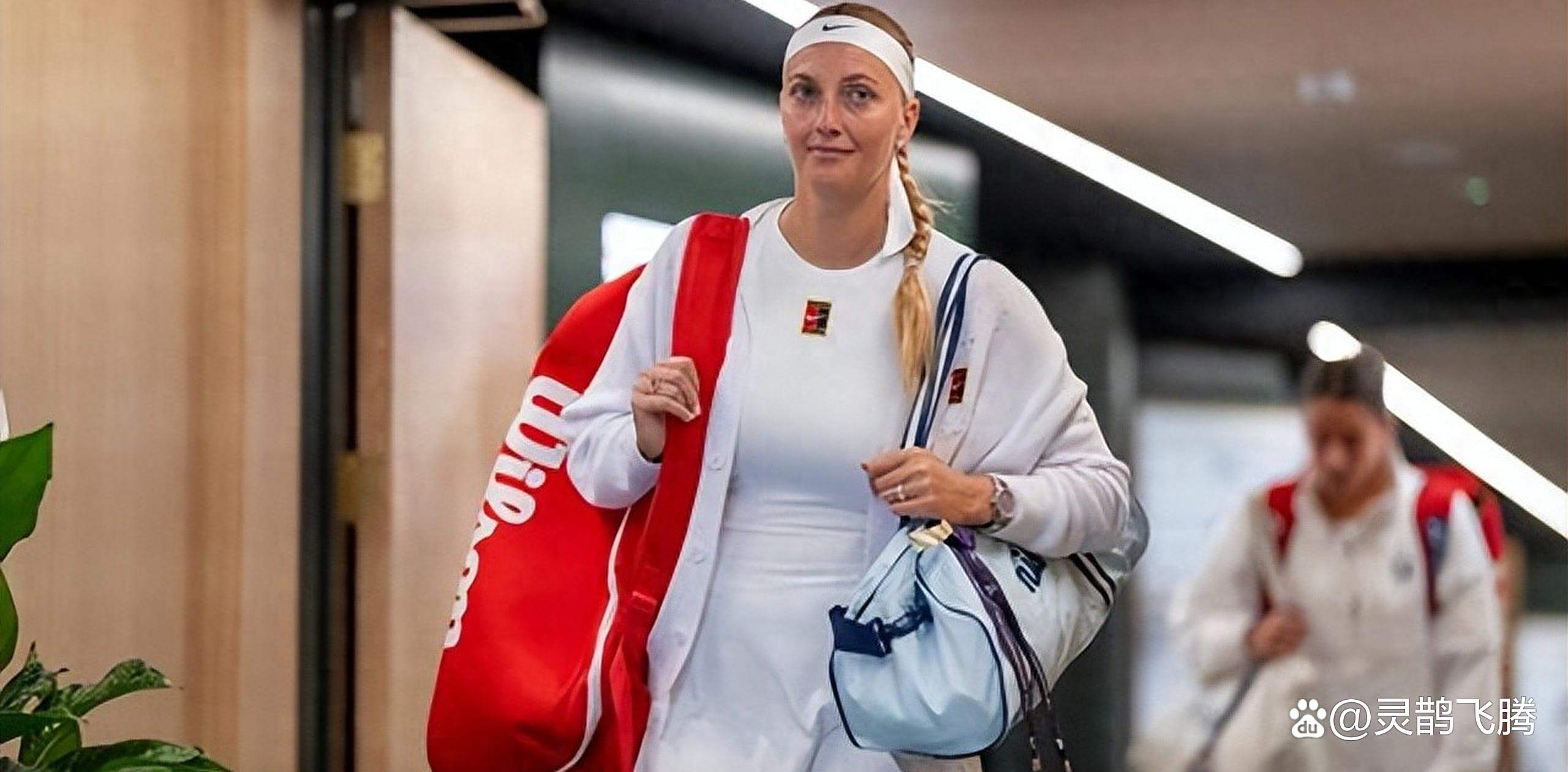 星空体育官网科维托娃回归赛场，高光表现首场状态亮眼，勇士观众沸腾！(科维托娃球迷会)